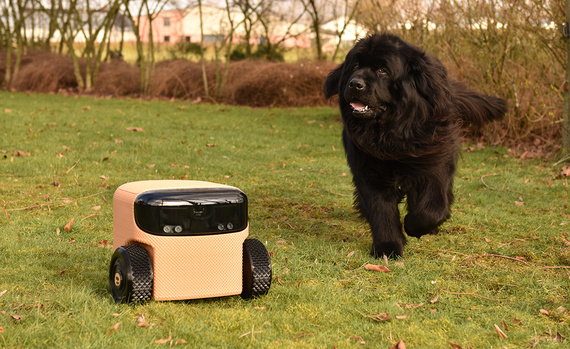 Persönlicher Roboter Willow von EEVE