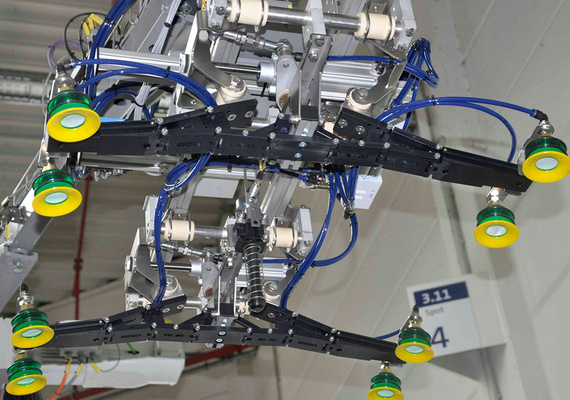 Schmetterlingsgreifer