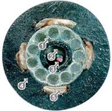 LWLGradientenfaserleitung