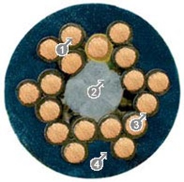 Steuerleitung  ungeschirmt