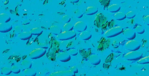 Basispolymere mit Fasern und Festschmierstoffen, 200-fach vergrößert, eingefärbt