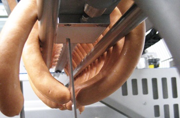 Fisch-, Fleisch- und Wurstverarbeitung