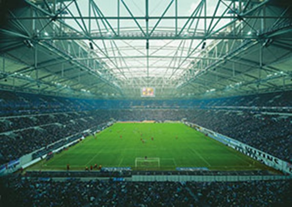 Foto der Rasenfläche